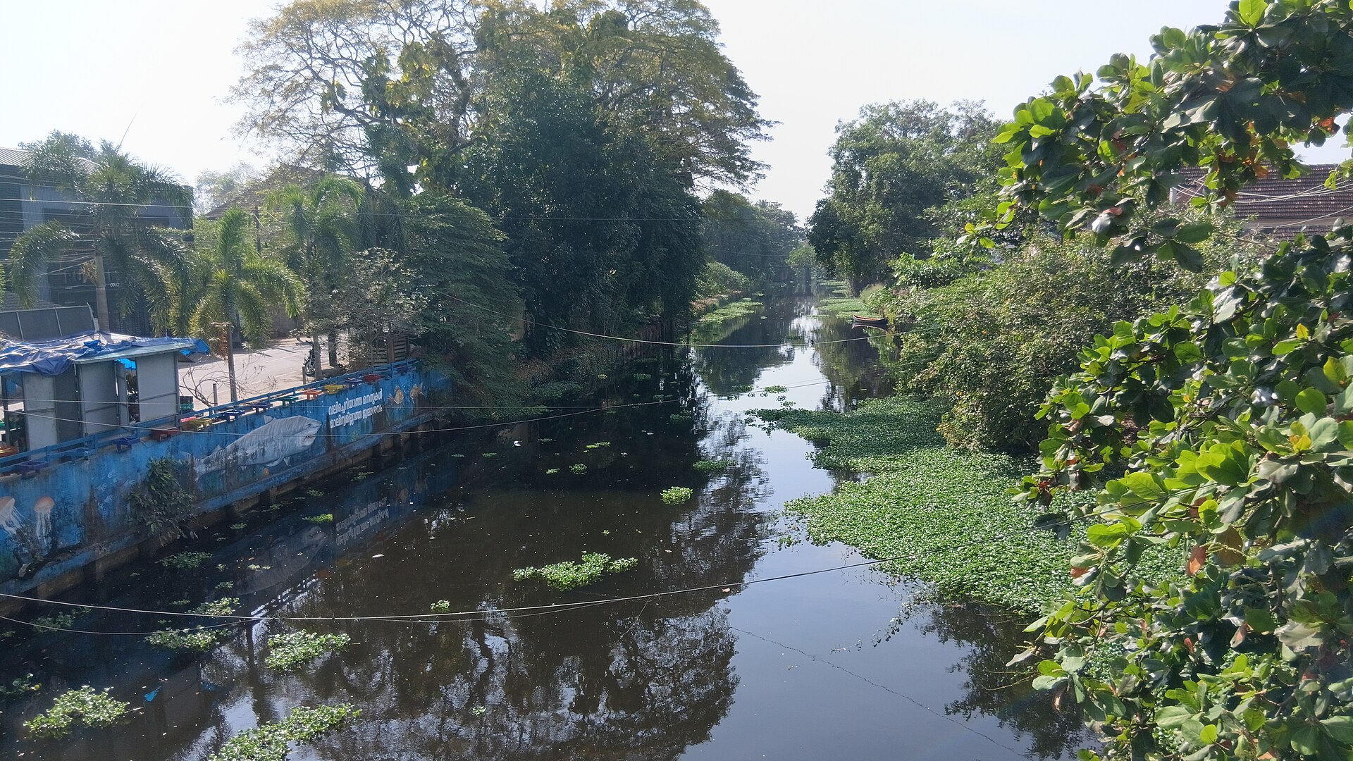 Alleppey canals, 001 — photograph by Jaisonll799