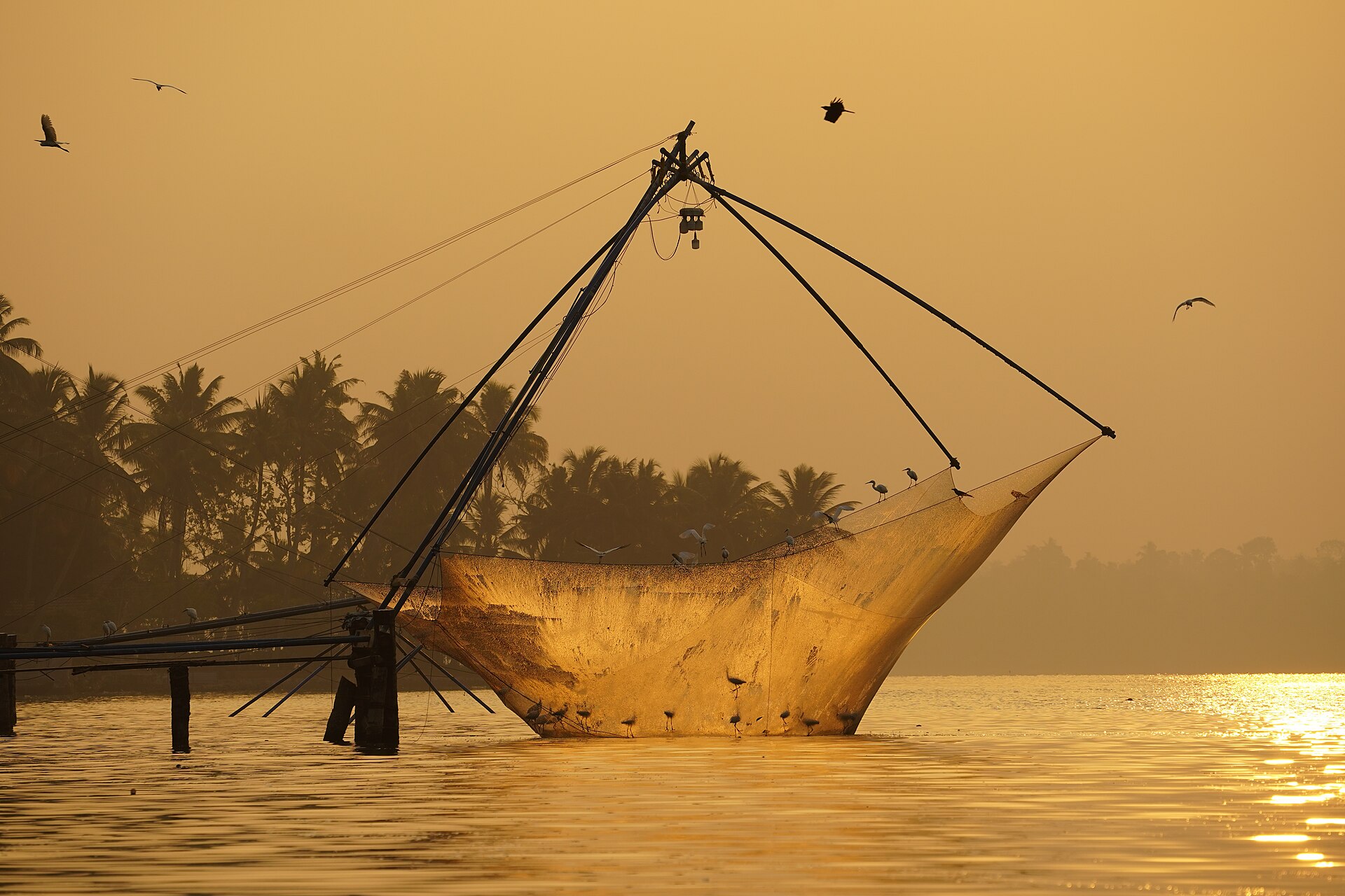 Chinese Fishing Net Raising Birds Sunrise Ashtamudi Kollam Mar22 A7C 01784 — photograph by Timothy A. Gonsalves
