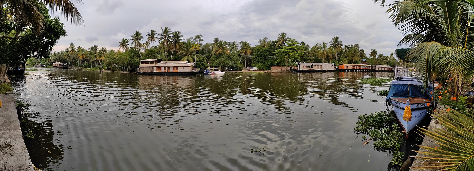 Kumarakom backwaters panorama — photograph by Vis M